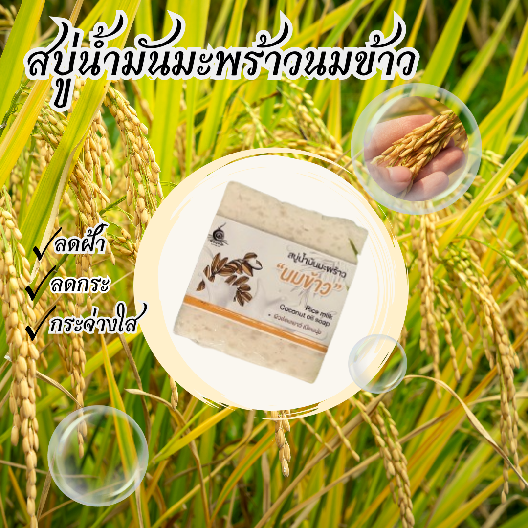 ฟื้นฟูผิวแห้งเสีย คืนผิวเนียนใสด้วยพลังธรรมชาติจาก “นมข้าว” และ “น้ำมันมะพร้าว