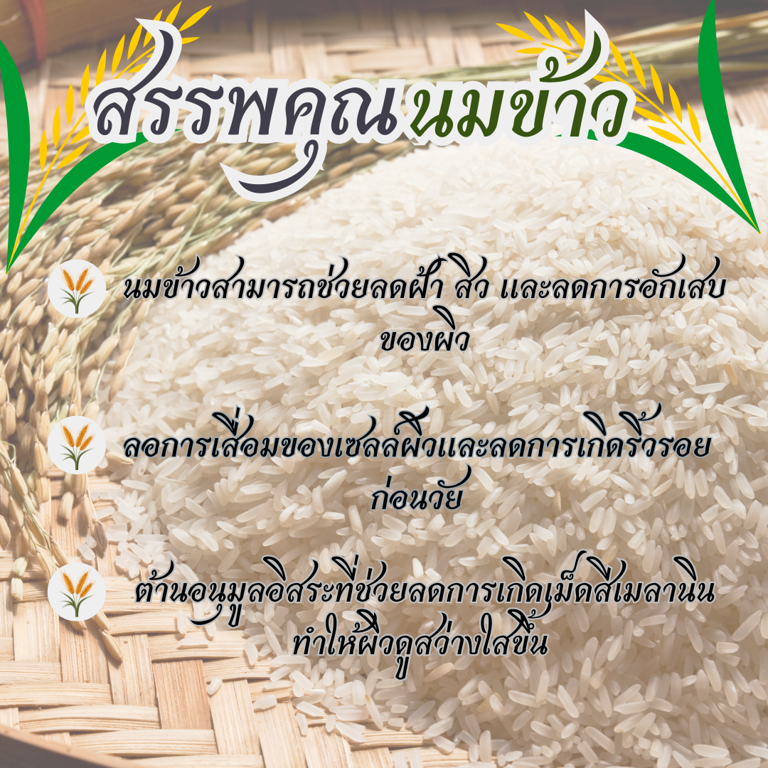 นมข้าวมีสารต้านอนุมูลอิสระสูง ซึ่งช่วยชะลอความเสื่อมของเซลล์ผิว และช่วยให้ผิวมีความยืดหยุ่น. นอกจากการบำรุงผิวหน้าแล้ว