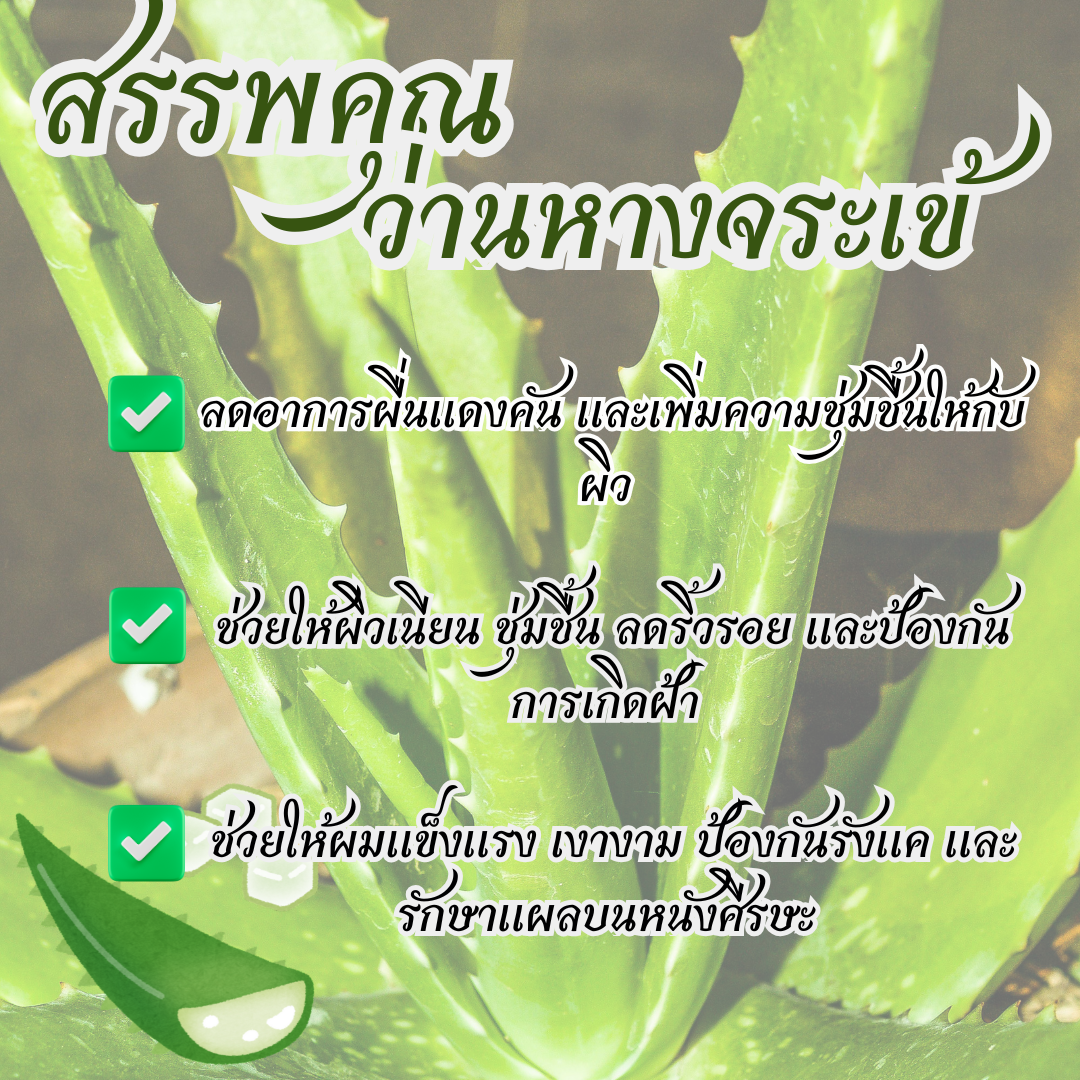 ช่วยลดสิว ลดรอยแดงจากการอักเสบ เพิ่มความชุ่มชื้น และช่วยให้ผิวดูใสขึ้น